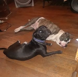 Meet your Posher, Charles